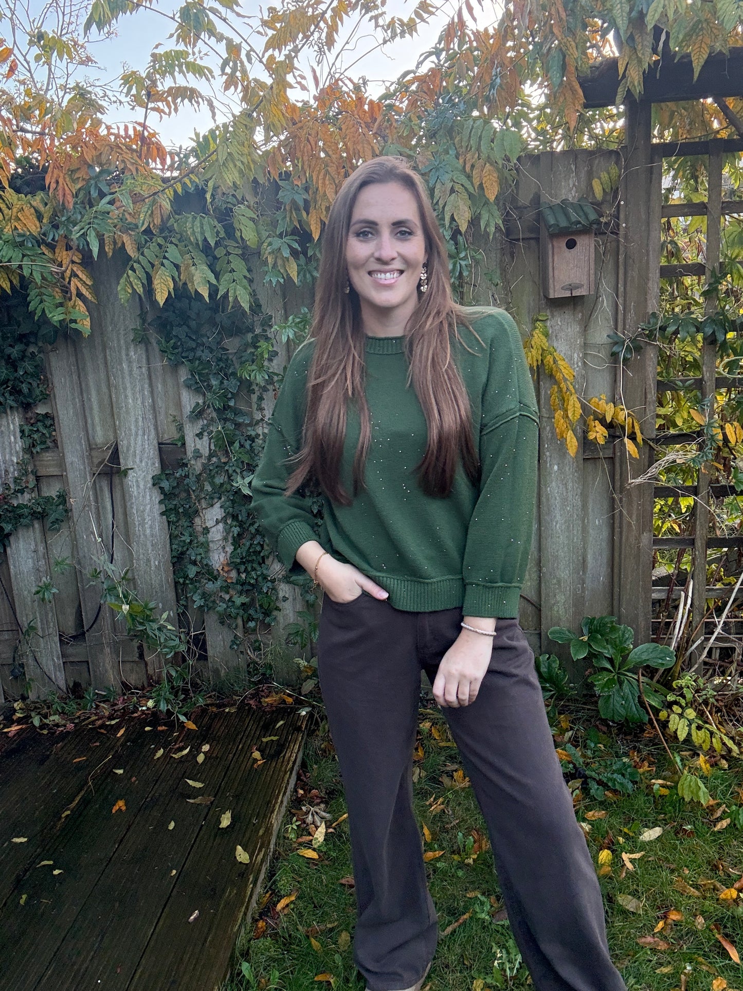 Ambika glitter trui groen