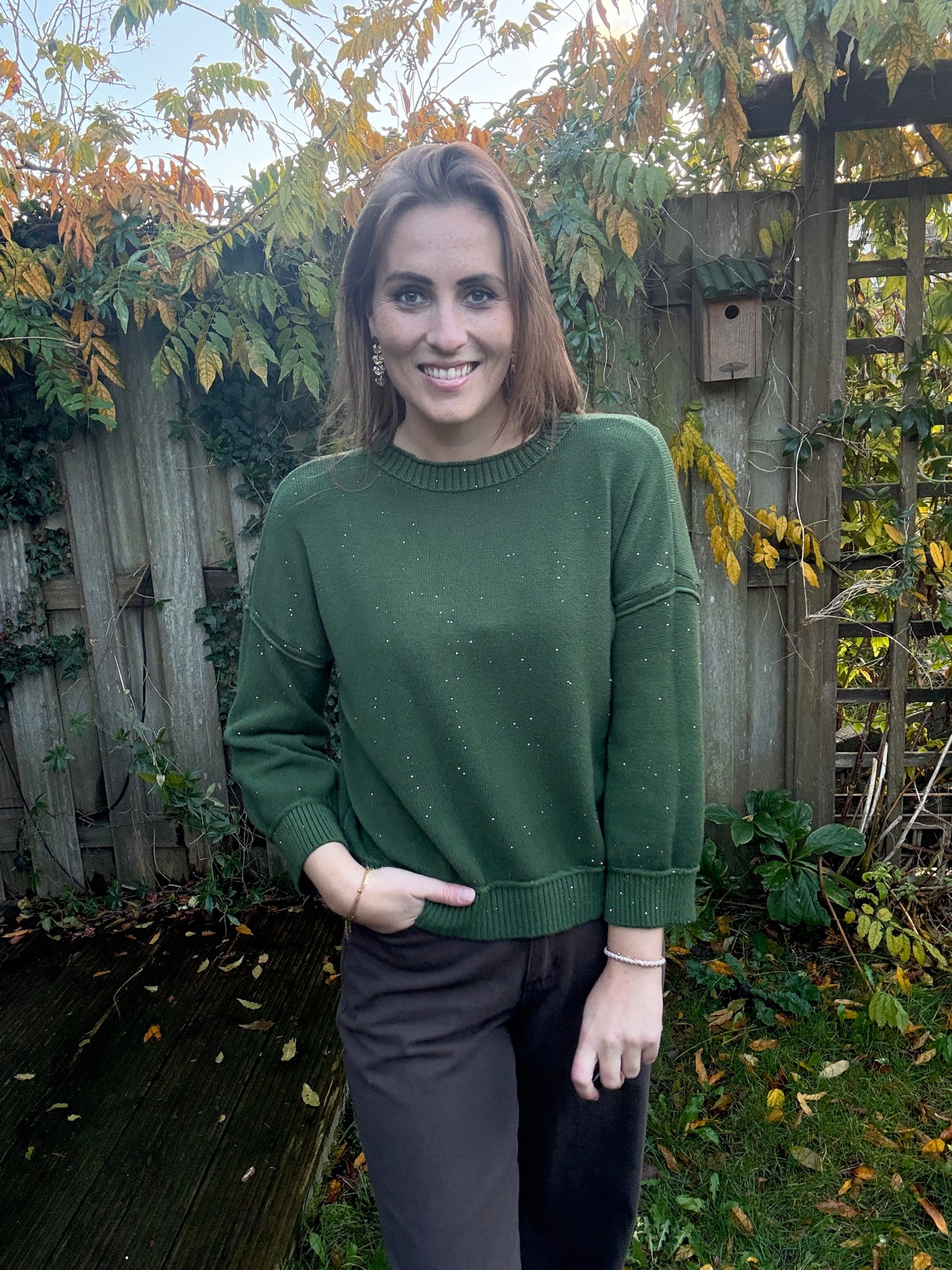 Ambika glitter trui groen